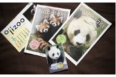 王子動物園グッズ＆年間パスポート