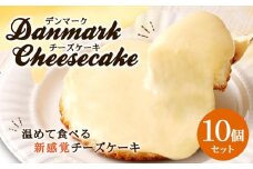 【観音屋】デンマークチーズケーキ　10個入り【ケーキ チーズケーキ 人気スイーツ おすすめスイーツ 神戸スイーツ 新感覚チーズケーキ おすすめケーキ 兵庫県 神戸市 D0910-18】