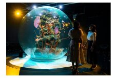 AQUARIUM × ART atoa　入場引換券（2名様）