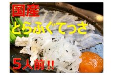 美味しいトラフグてっさ５人前