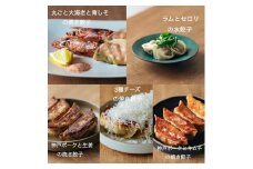TOKI PAO餃子5種56個セット