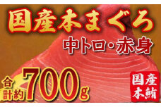 国産 本マグロ ブロック(中トロ・赤身) 約700g