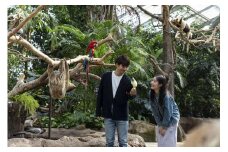 神戸どうぶつ王国入園＆「神戸ポートピアホテル」ペアランチ券