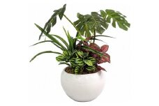 人工観葉植物　モンステラ寄せ植えジャングルポット