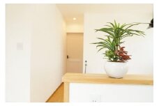 人工観葉植物　ユッカ寄せ植えジャングルポット
