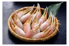 レンジで生ずわい爪肉 600g（300g×2）