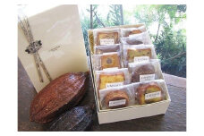 【L’AVENUE】 ラヴニュー セレクション 焼き菓子詰め合わせ10個入り 　L’AVENUE SELECTION 10PIECES