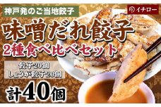 [ギョーザ専門店イチロー] 神戸味噌だれ餃子2種（計40個）食べ比べセット