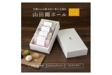 グルテンフリー 山田錦 ボール 【箱入り4種アソート（和三盆/カカオ/抹茶/えちご姫（いちご） ）】 田田田堂 米粉 お菓子 クッキー スイーツ 小麦 乳 卵 白砂糖 不使用 アレルギー 対応 無農薬 米 ビーガン ポルボローネ