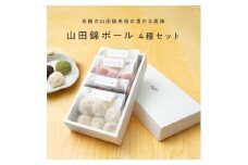 グルテンフリー 山田錦 ボール 【箱入り4種アソート（和三盆/カカオ/抹茶/えちご姫（いちご） ）】 田田田堂 米粉 お菓子 クッキー スイーツ 小麦 乳 卵 白砂糖 不使用 アレルギー 対応 無農薬 米 ビーガン ポルボローネ
