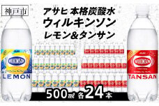 アサヒ飲料 ウィルキンソン タンサン+レモン各1箱セット（500mlペットボトル×24本×2箱）