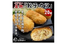 【ギョーザ専門店イチロー】餃子カツ20個（神戸ポークプレミアム100%使用）