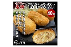【ギョーザ専門店イチロー】餃子カツ40個（神戸ポークプレミアム100%使用）