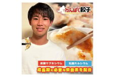 神戸餃子楼　わんぱく餃子（100個入）