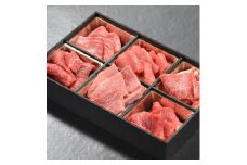 神戸牛 焼肉 6種盛り　600g（専用仕切り箱）　KB003