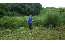 空き家空地の草刈、竹林・雑木林等の伐採、⇒運搬⇒リサイクル（30000円相当）