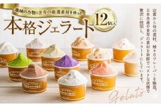 地域の作物と世界の厳選素材を使ったジェラート(12個入り)