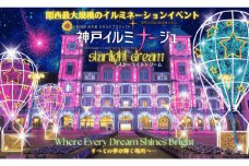 神戸イルミナージュ　大人チケット