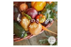 やさいのキラメキセット【神戸市】