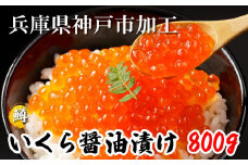 いくら 鱒いくら醤油漬け 800g（200g×4）