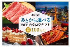 あとから選べるWEBカタログギフト（寄附100万円コース）300000ポイント神戸市