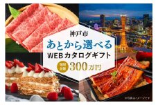 あとから選べるWEBカタログギフト（寄附300万円コース）900000ポイント神戸市
