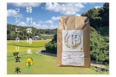 令和7年産　新米　特別栽培米 神戸のまごころ コシヒカリ 玄米　5kg