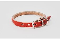 [№5258-7031]0095good collar 2号［犬 猫 首輪］アカネ