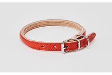 [№5258-7036]0096good collar 4号［犬 猫 首輪］アカネ