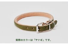 [№5258-7040]0097good collar 5号［犬 猫 首輪］ヤナギ