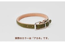 [№5258-7041]0097good collar 5号［犬 猫 首輪］アカネ