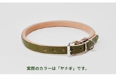 [№5258-7045]0098good collar 7号［犬 猫 首輪］ヤナギ