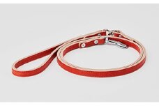 [№5258-7051]0099good lead 小型犬用10mm幅［犬 猫 リード］アカネ