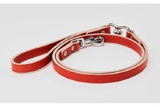 [№5258-7056]0100good lead 中型犬用15mm幅［犬 猫 リード］アカネ