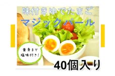 [№5258-0109]味付ゆでたまご「マジックパール」40個