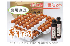 [№5258-0111]【姫路産】とれたて新鮮！「夢そだち」たまご90個＋玉かけ醤油2本