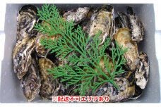 [№5258-0120]【2026年1月より順次出荷予定】勤成丸の生牡蠣　千姫（約2.0kg入） 魚貝類 かき