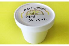 [№5258-0226]ゆずシャーベット（60g入×12個）