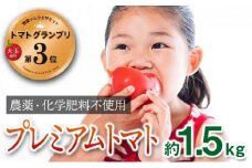 [№5258-0253]【トマトGP受賞】栽培期間中農薬化学肥料不使用 こだわりのプレミアムトマト 約1.5kg