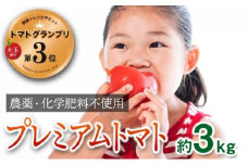 [№5258-0254]【トマトGP受賞】栽培期間中農薬化学肥料不使用 こだわりのプレミアムトマト 約3kg
