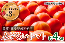 [№5258-0256]【トマトGP受賞】栽培期間中農薬化学肥料不使用 お得なプレミアムトマト ふぞろい約4kg