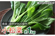 [№5258-0267]栽培期間中農薬化学肥料不使用の小松菜詰め合わせ 約1kg（100g×10袋）