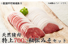 [№5258-0348]【2025年1月中旬より順次出荷予定】天然猪肉　ぼたん鍋用　特上700g　秘伝みそセット