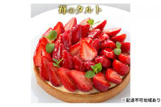 [№5258-0398]「苺のタルト」 いちご 誕生日 ギフト 記念日 カスタード ／ エクラン・ビジュー【クリスマス・ケーキ・タルト・フルーツ・スイーツ・果物・手作り】