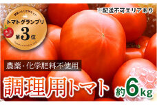 [№5258-0393]安心トマト　訳あり調理用　約6kg