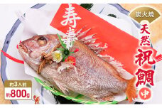 [№5258-0432]炭火焼　天然祝鯛（中）約800g【約3人前】 / 焼鯛 尾頭付き