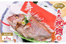 [№5258-0433]炭火焼　天然祝鯛（大）約1kg  【約4人前】 / 焼鯛 尾頭付き