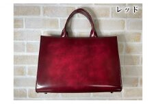 [№5258-7347]0581アドバントート ＃レッド