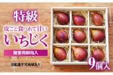[№5258-0619] 特級いちじく 9個 桐箱入り