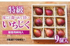 [№5258-0619] 特級いちじく 9個 桐箱入り